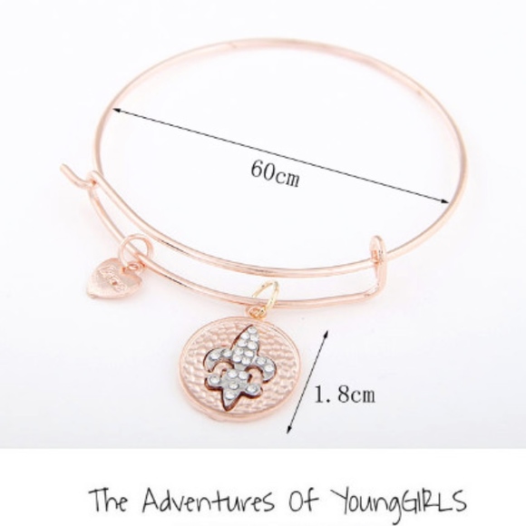 Gold Starfish Sand Dollar Silver Bangle Bracelet - Picture 5 of 6